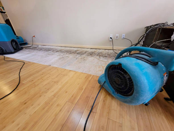 Professional Water Removal technician working in Port Washington, NY